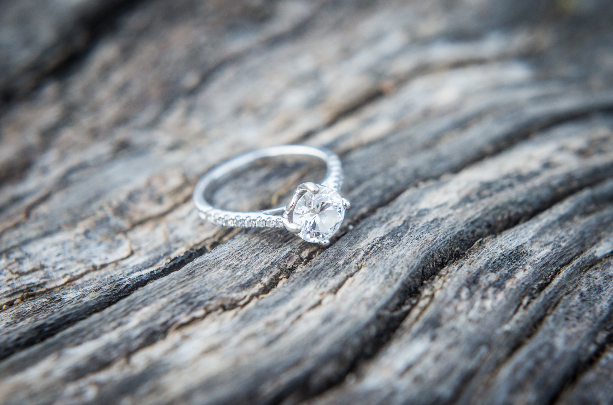 Northern Virginia engagement photography