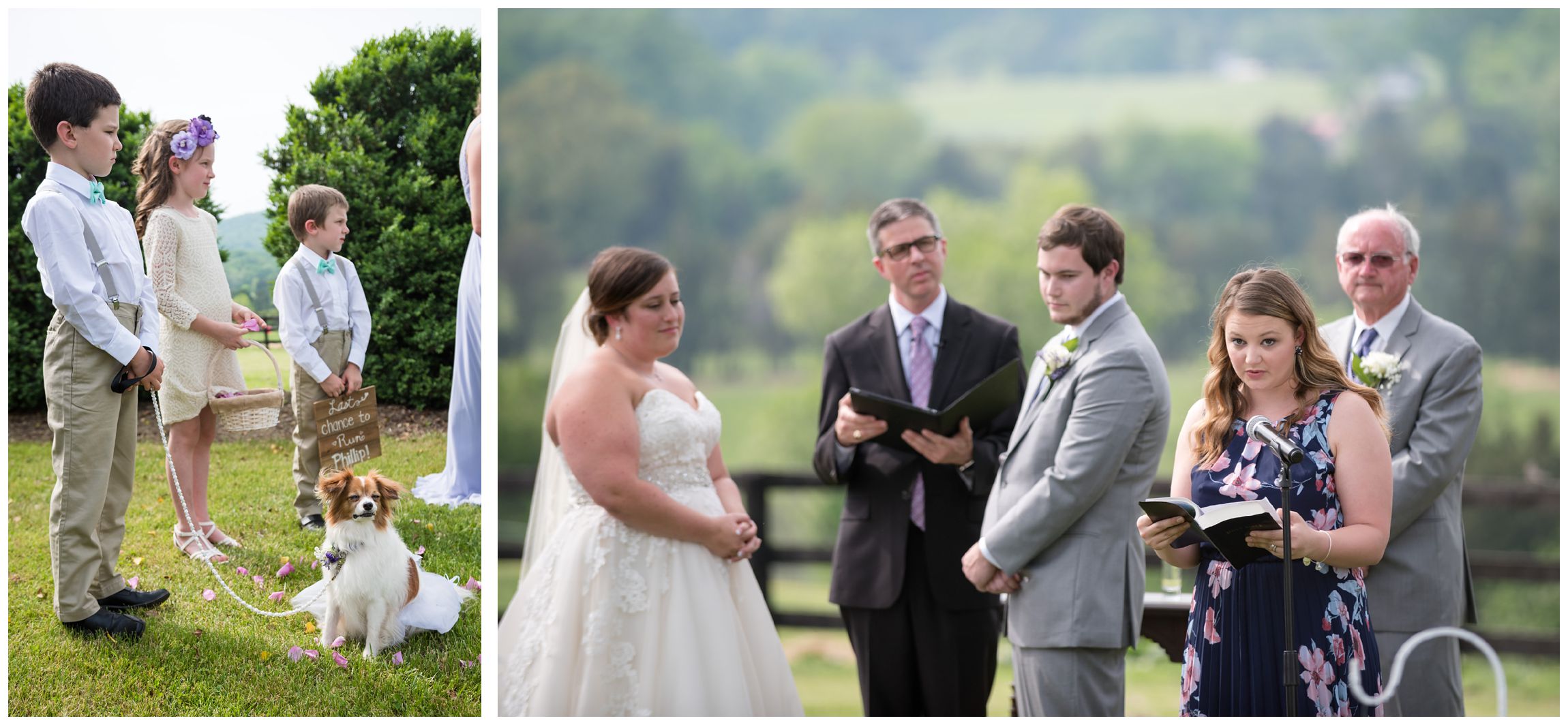 dog participates in rustic Virginia wedding at Wolftrap Farm