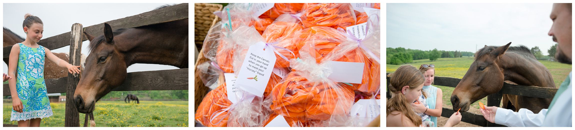 carrots for feeding horses at rustic wedding reception at Wolftrap Farm in Virginia