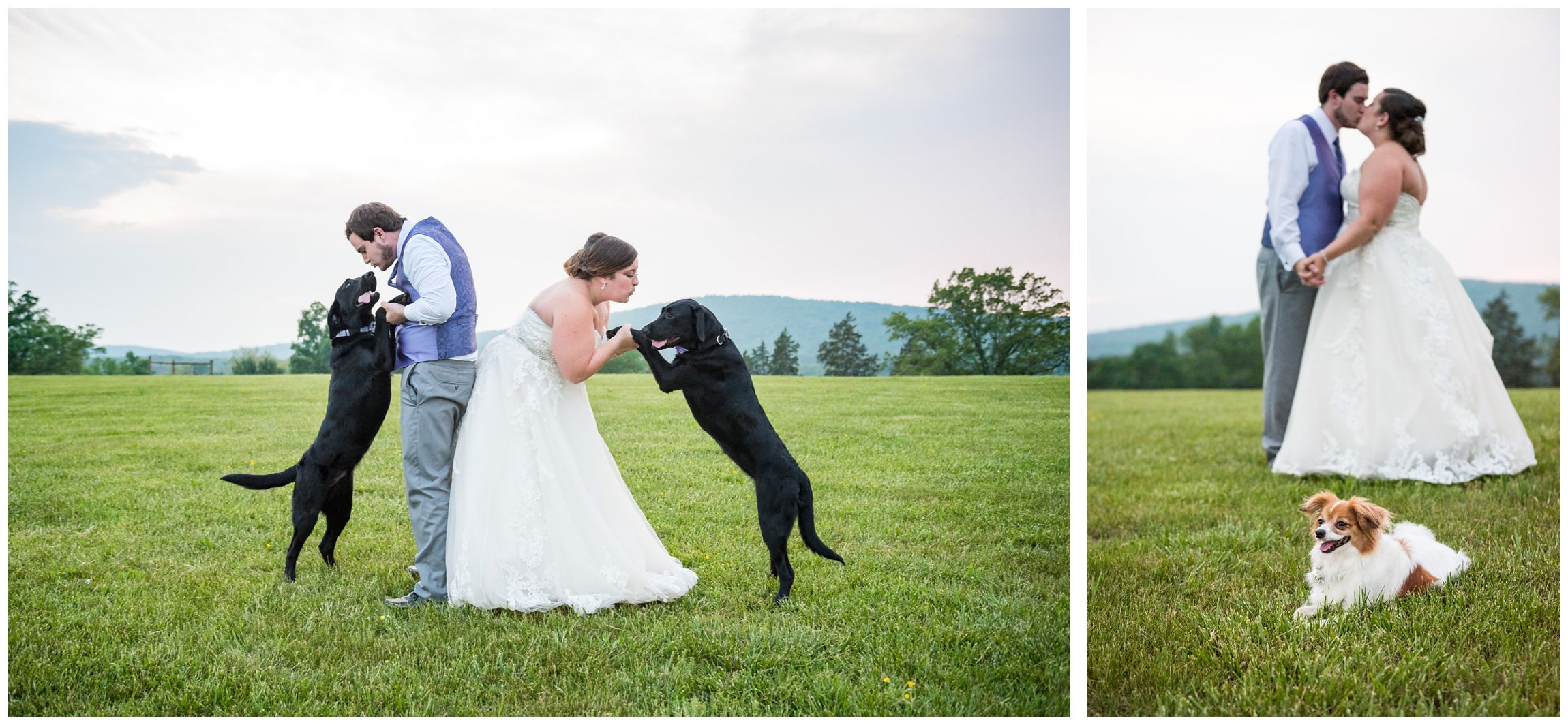 bride and groom with dogs after rustic wedding in the Shenandoah Mountains
