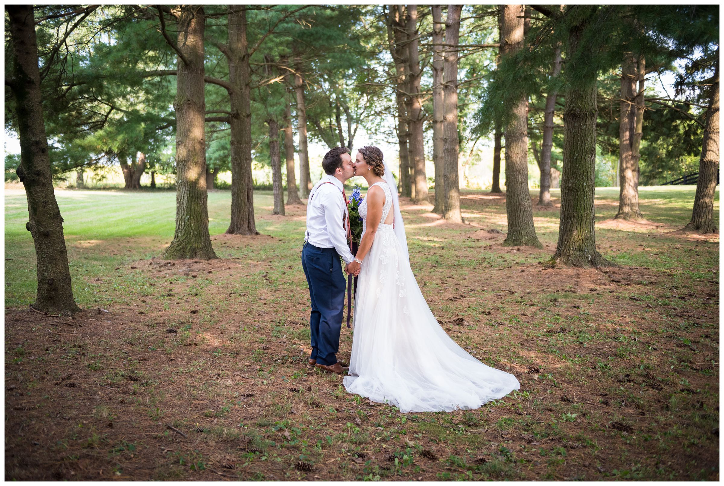 bride and groom wedding portraits under pine tree forest during rustic barn wedding in Lancaster, Ohio