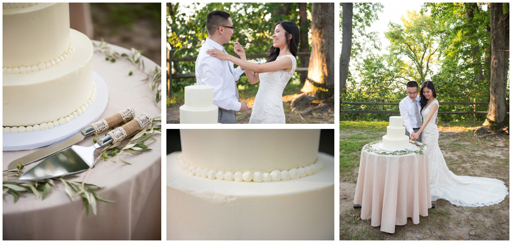 cake cutting at rustic cabin westmoreland state park virgina wedding