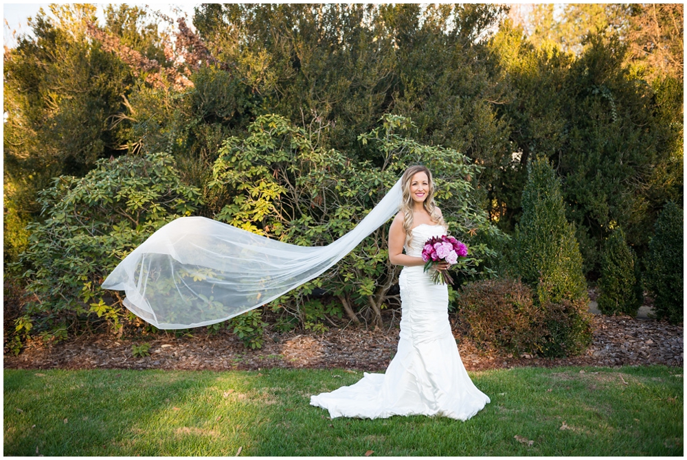 Wedding portraits of bride and groom at Raspberry Plain in Leesburg, Virginia.