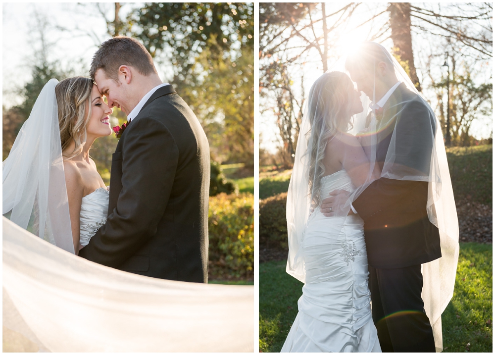 Wedding portraits of bride and groom at Raspberry Plain in Leesburg, Virginia.