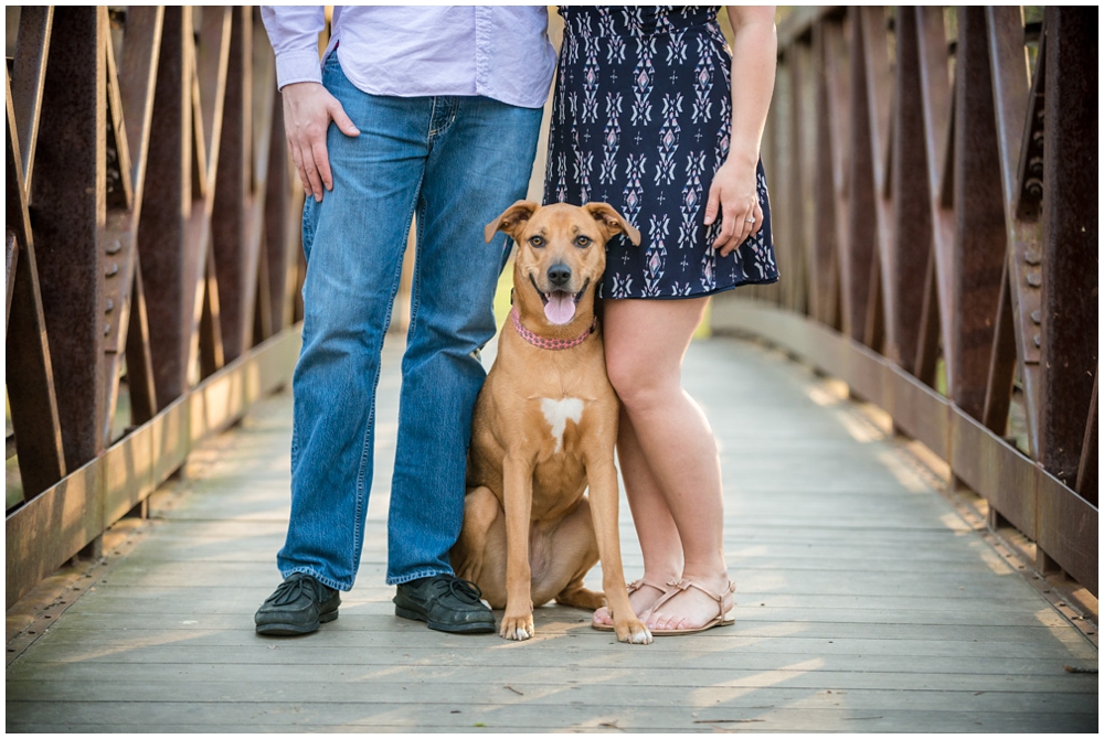 engaged couple with dog at park on bridge