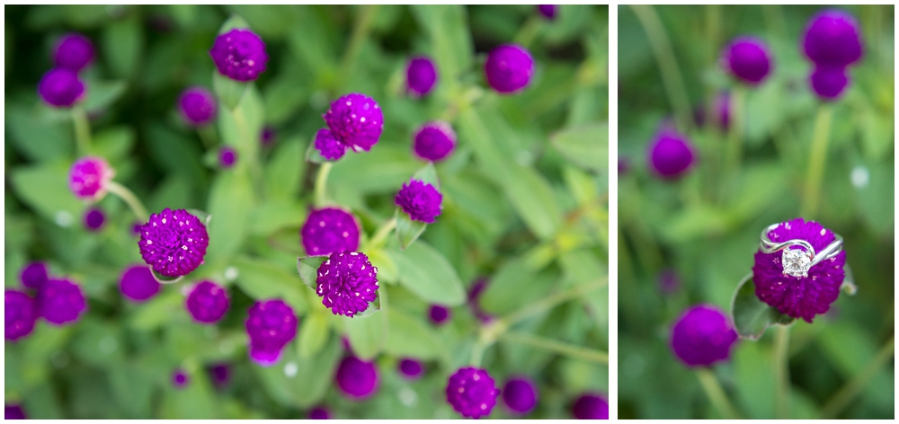 Engagement ring closeup on purple flowers