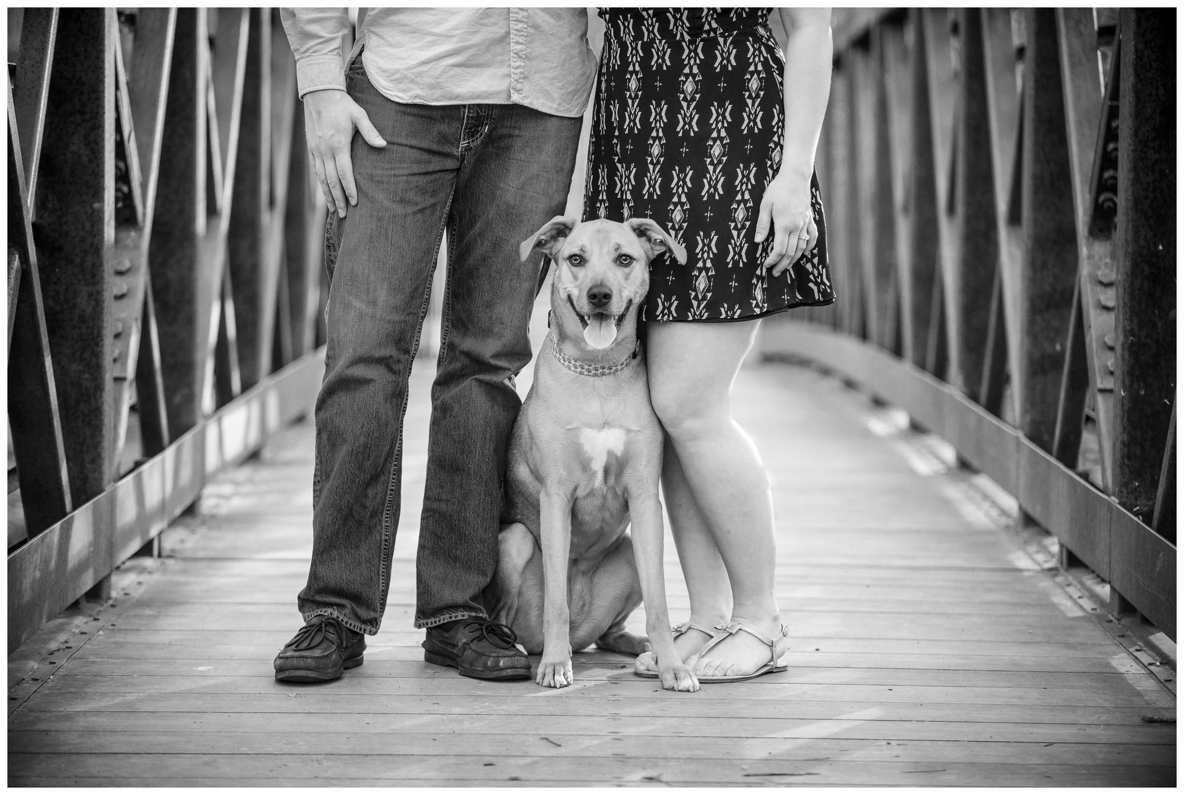 engaged couple with dog