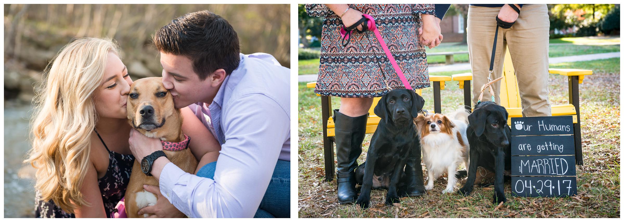 engagement session with dogs