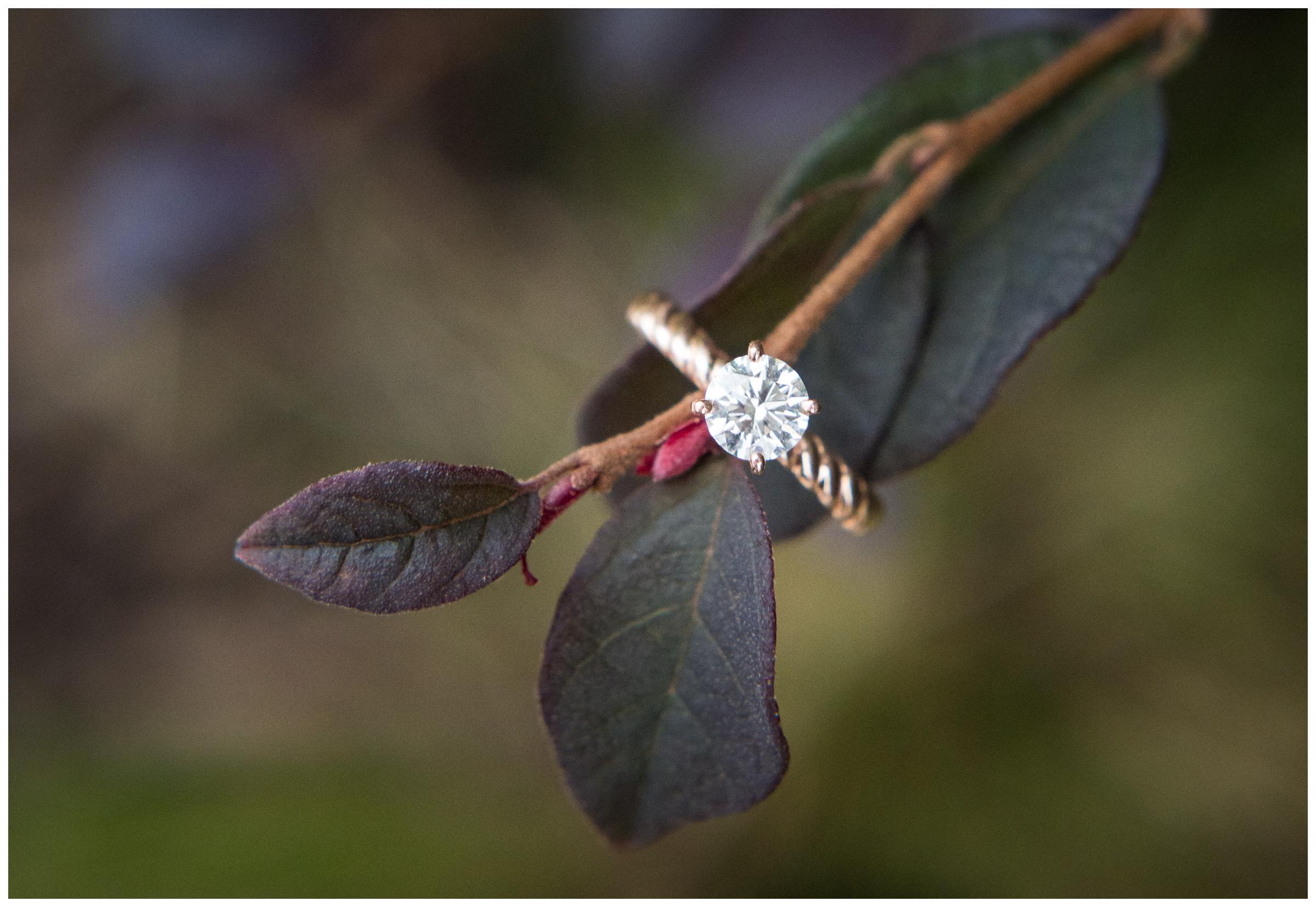 engagement ring with rose gold band