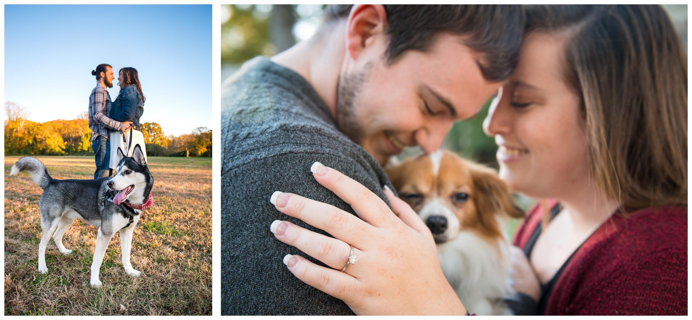 engagement session with dogs