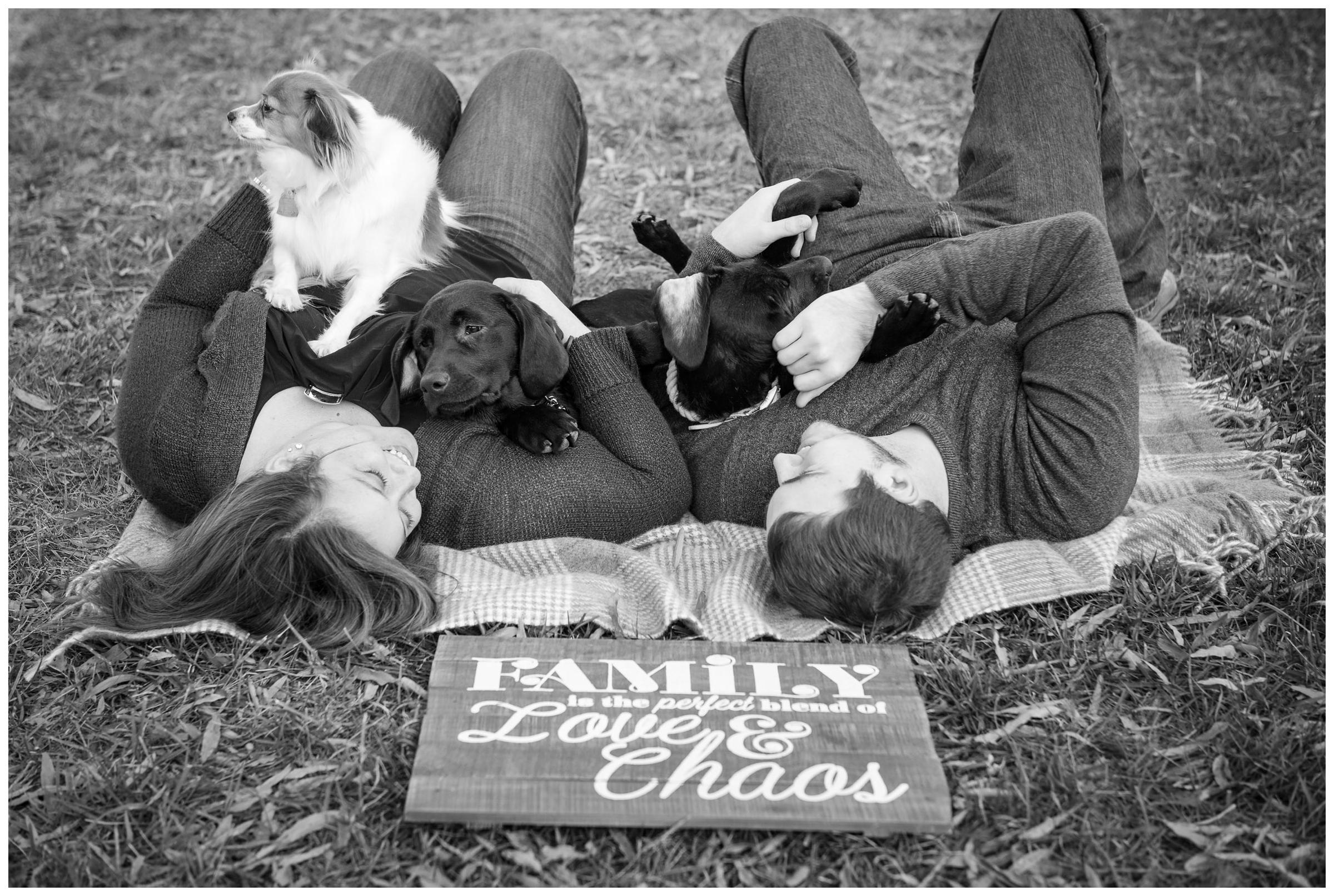 engaged couple with puppies