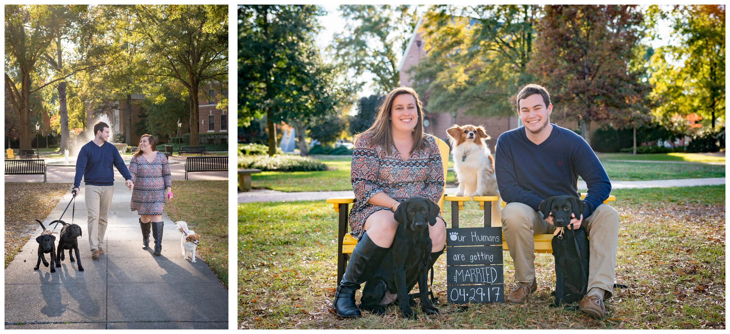 Engaged couple with three dogs and "Our humans are getting married" sign.