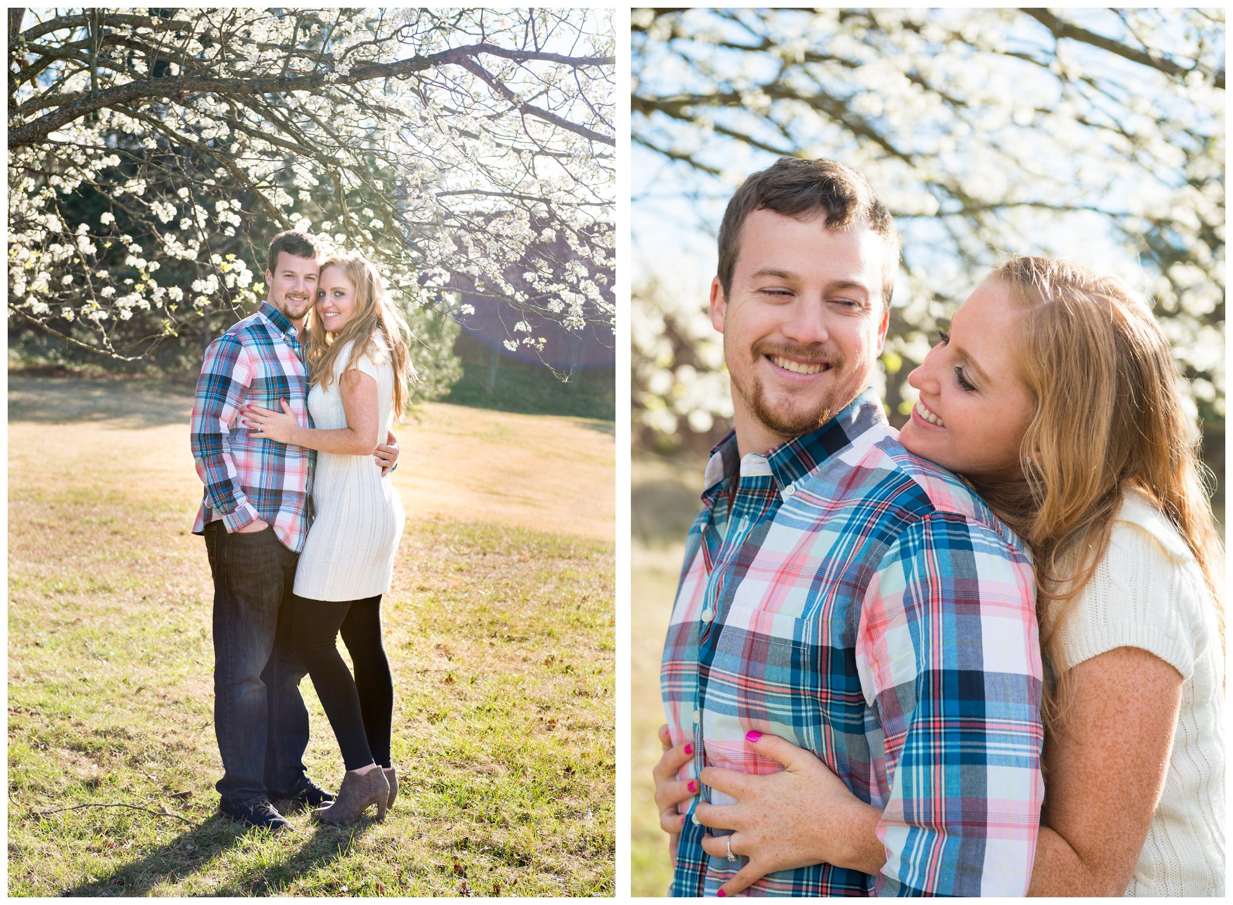 engaged couple under cherry blossom tree during engagement session in Rockville, Maryland