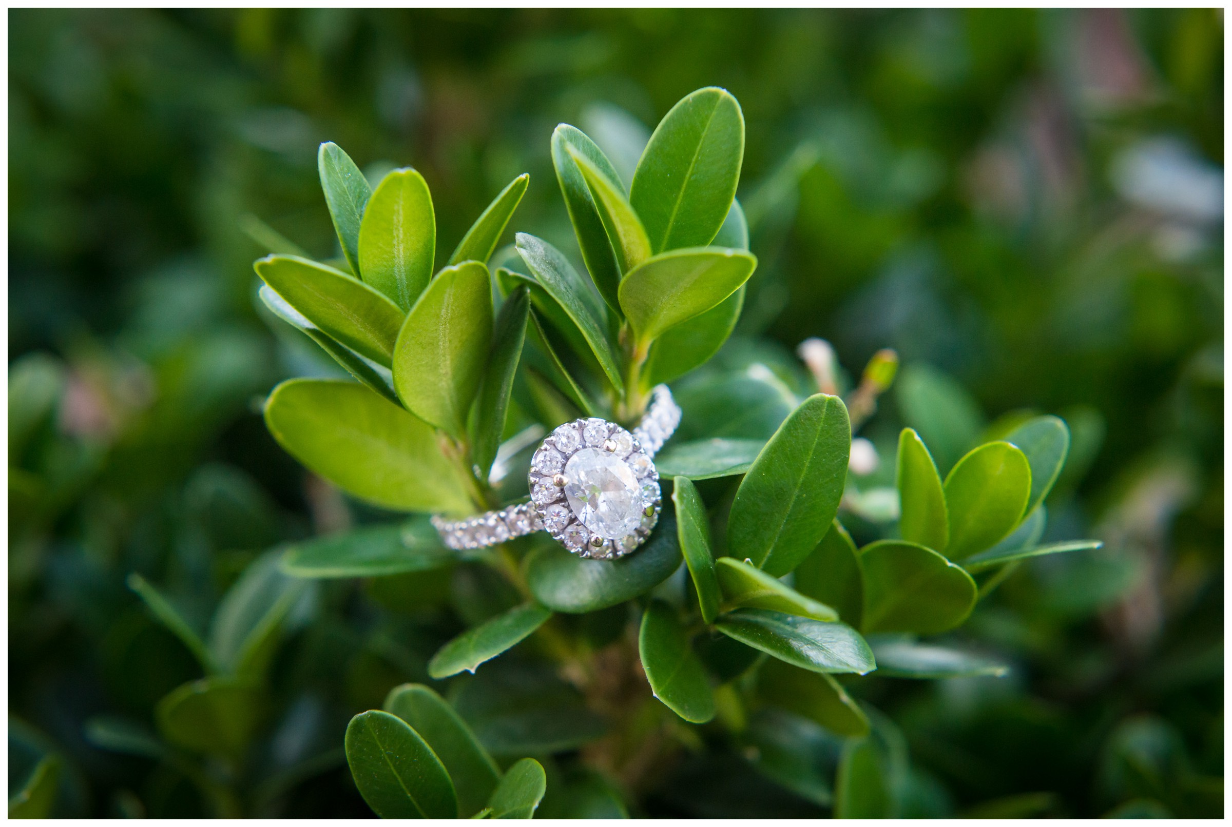 oval engagement ring in greenery