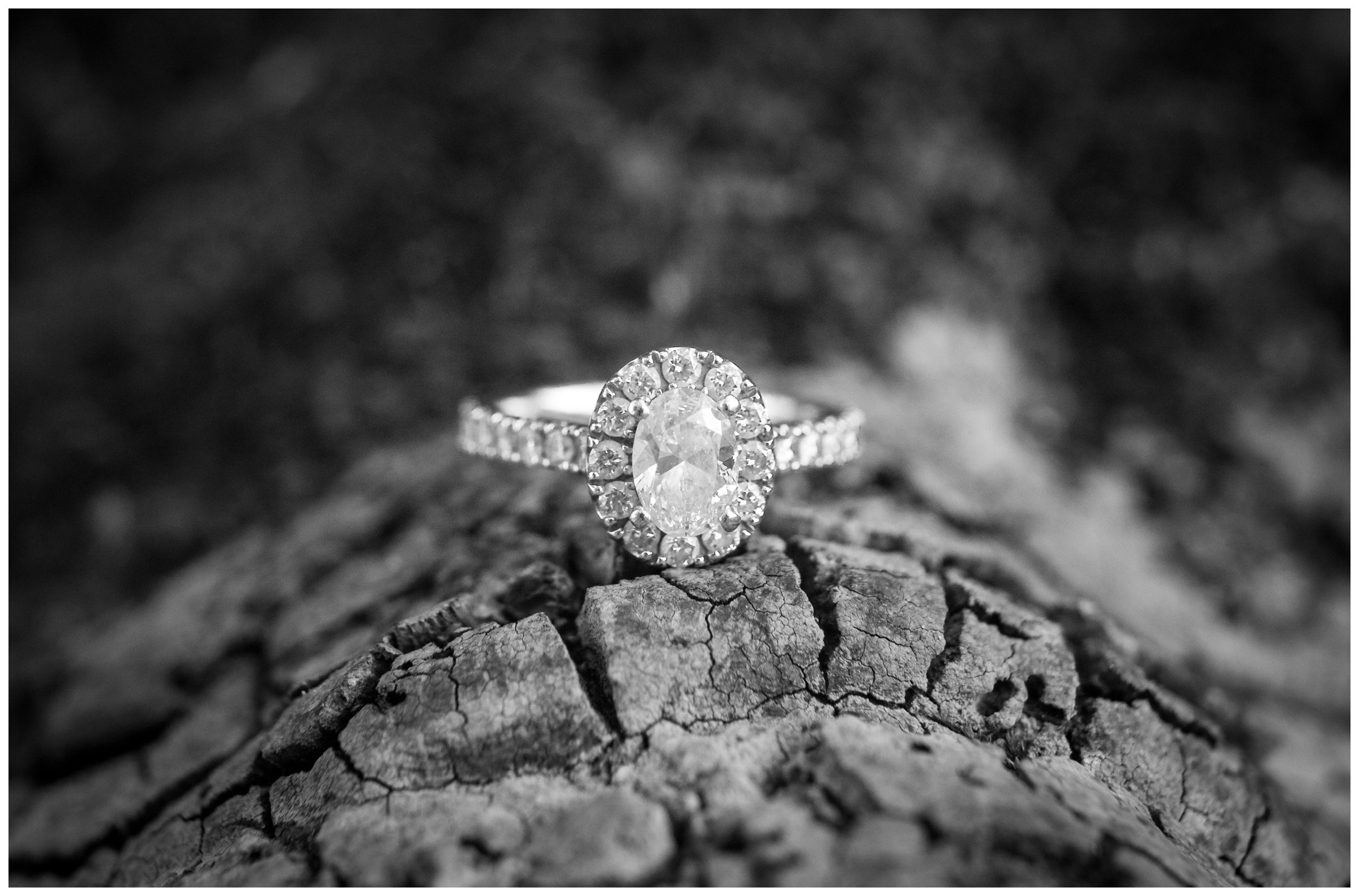 engagement ring on tree bark by northern Virginia wedding photographer