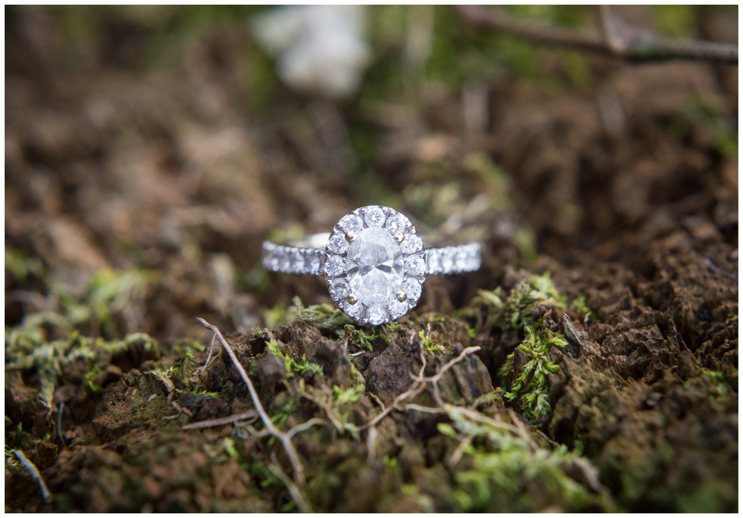 engagement ring on mossy tree