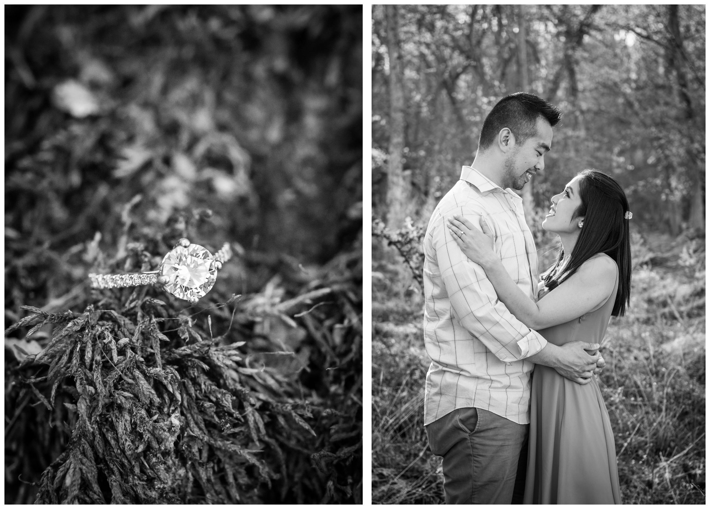 engagement ring on moss at Great Falls Park in Virginia