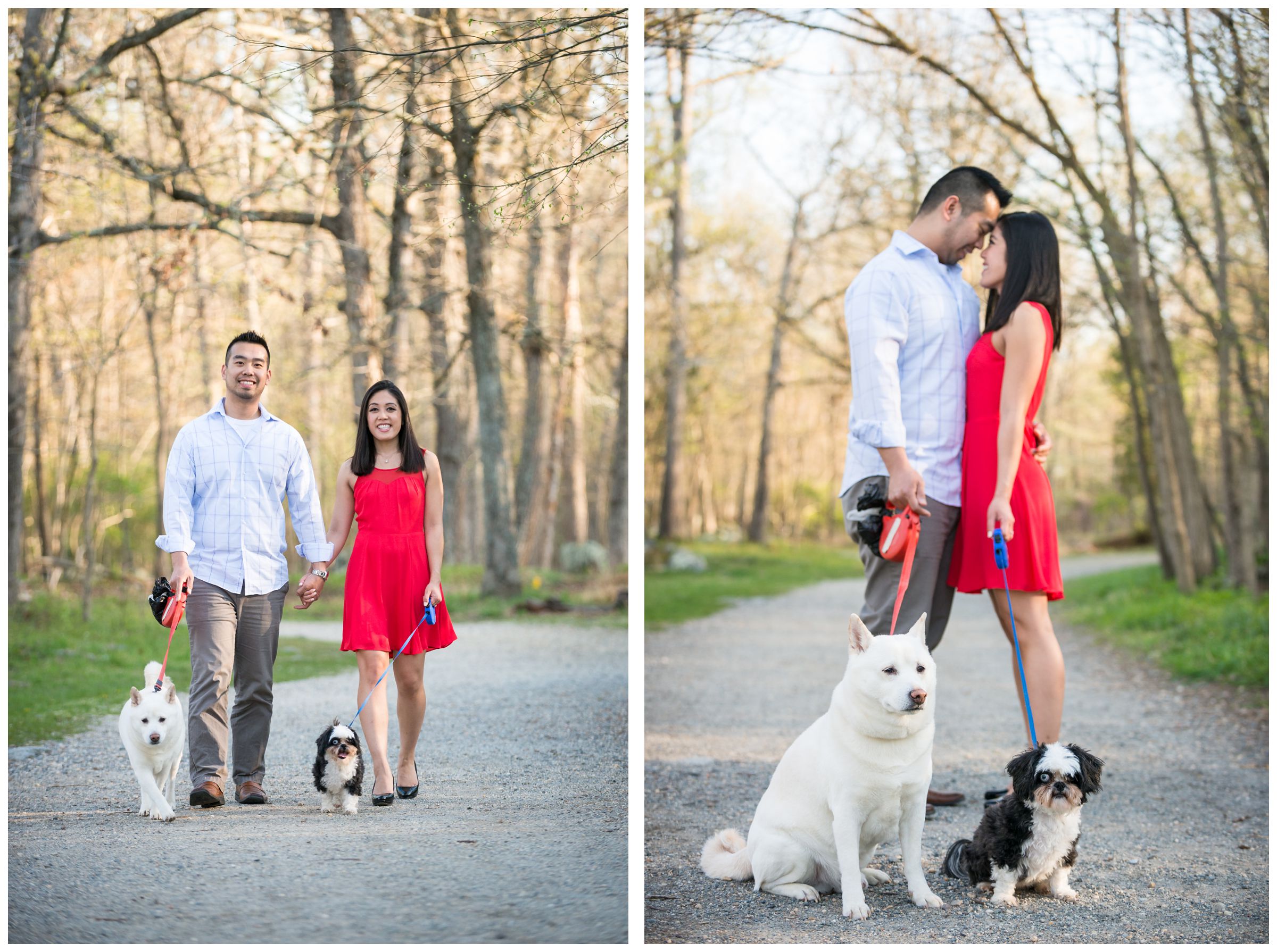 engagement photos of couple with their dogs at Great Falls Park in Northern Virginia