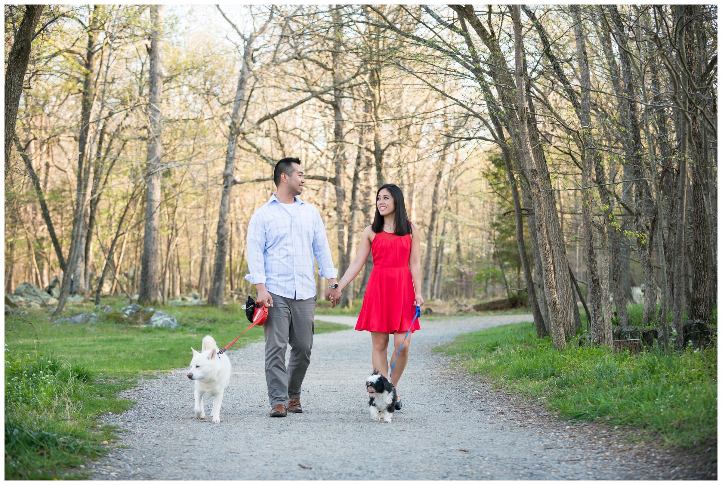 engaged couple walking their dogs at Great Falls Park in Northern Virginia