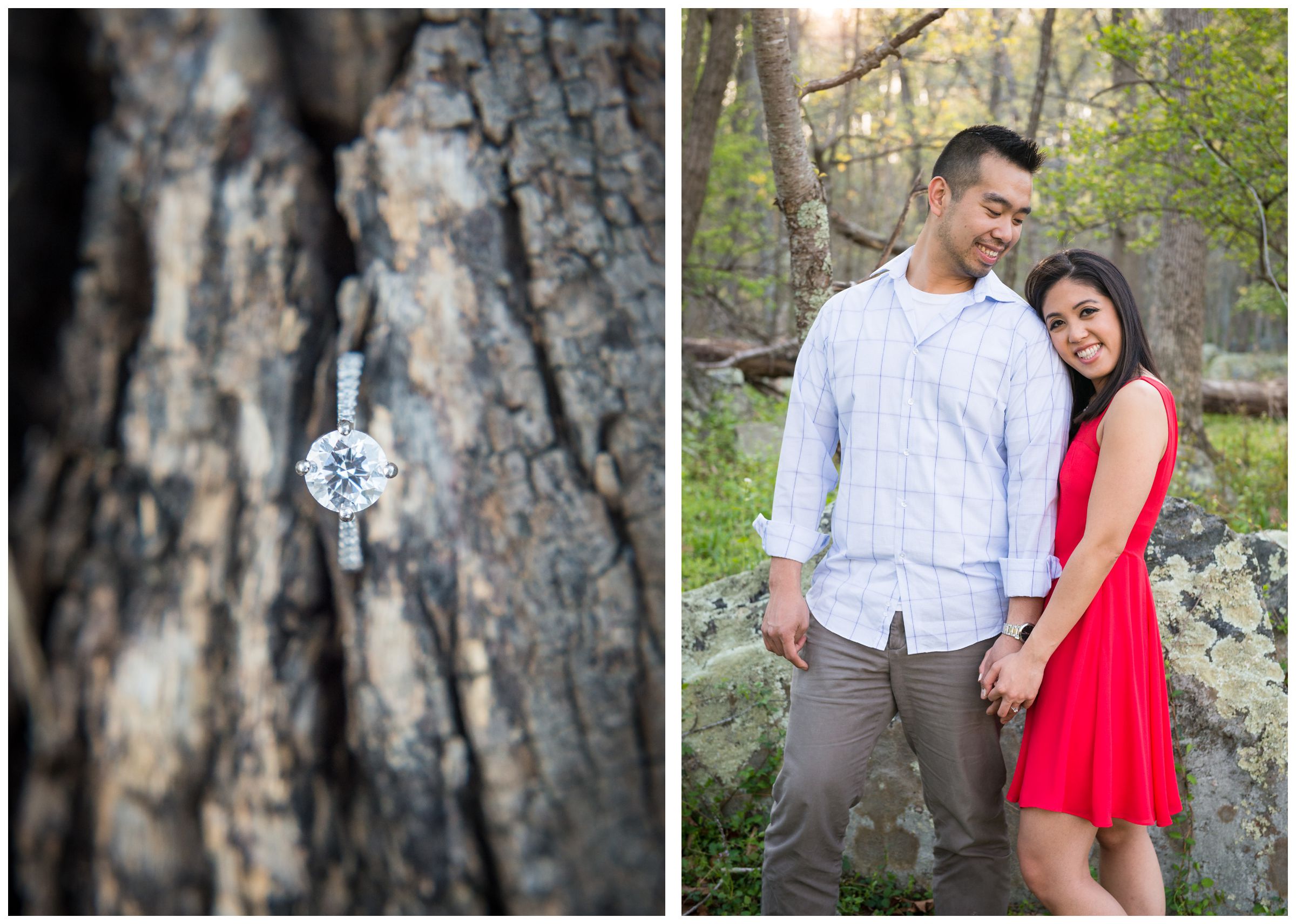 engagement ring on tree bark in Great Falls Park Virginia