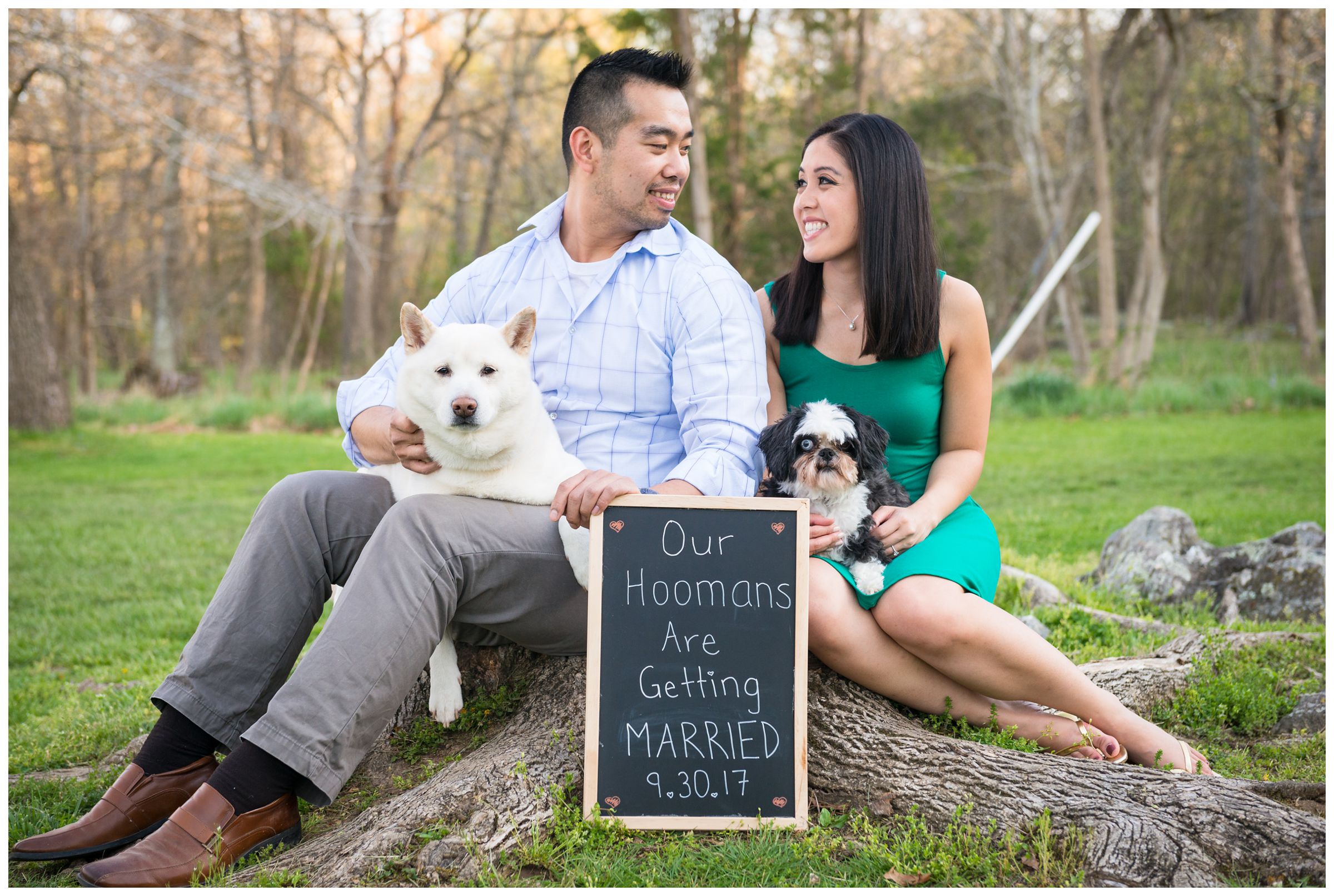 engaged couple and dogs with sign saying our hoomans are getting married