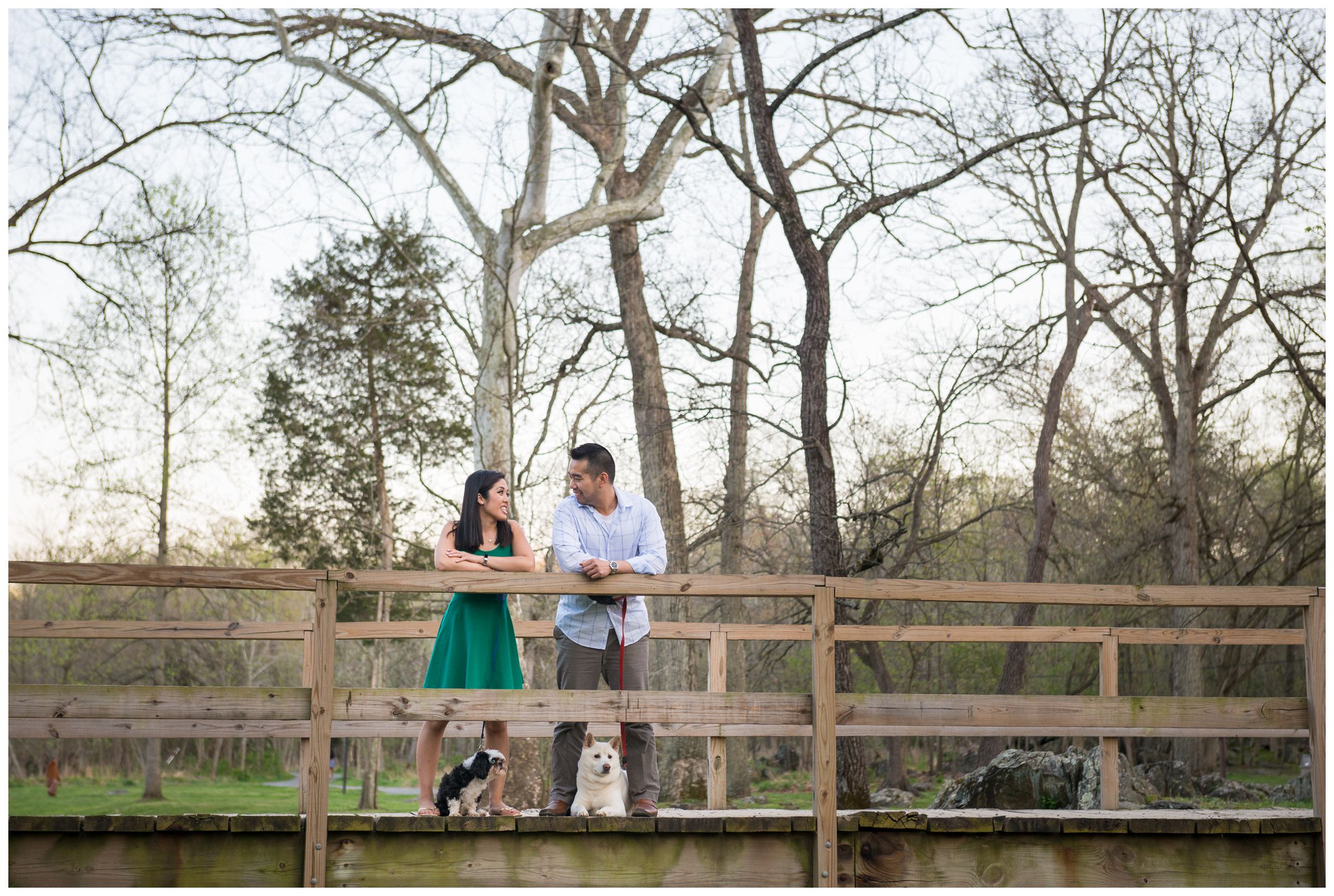 engaged couple on bride with dogs