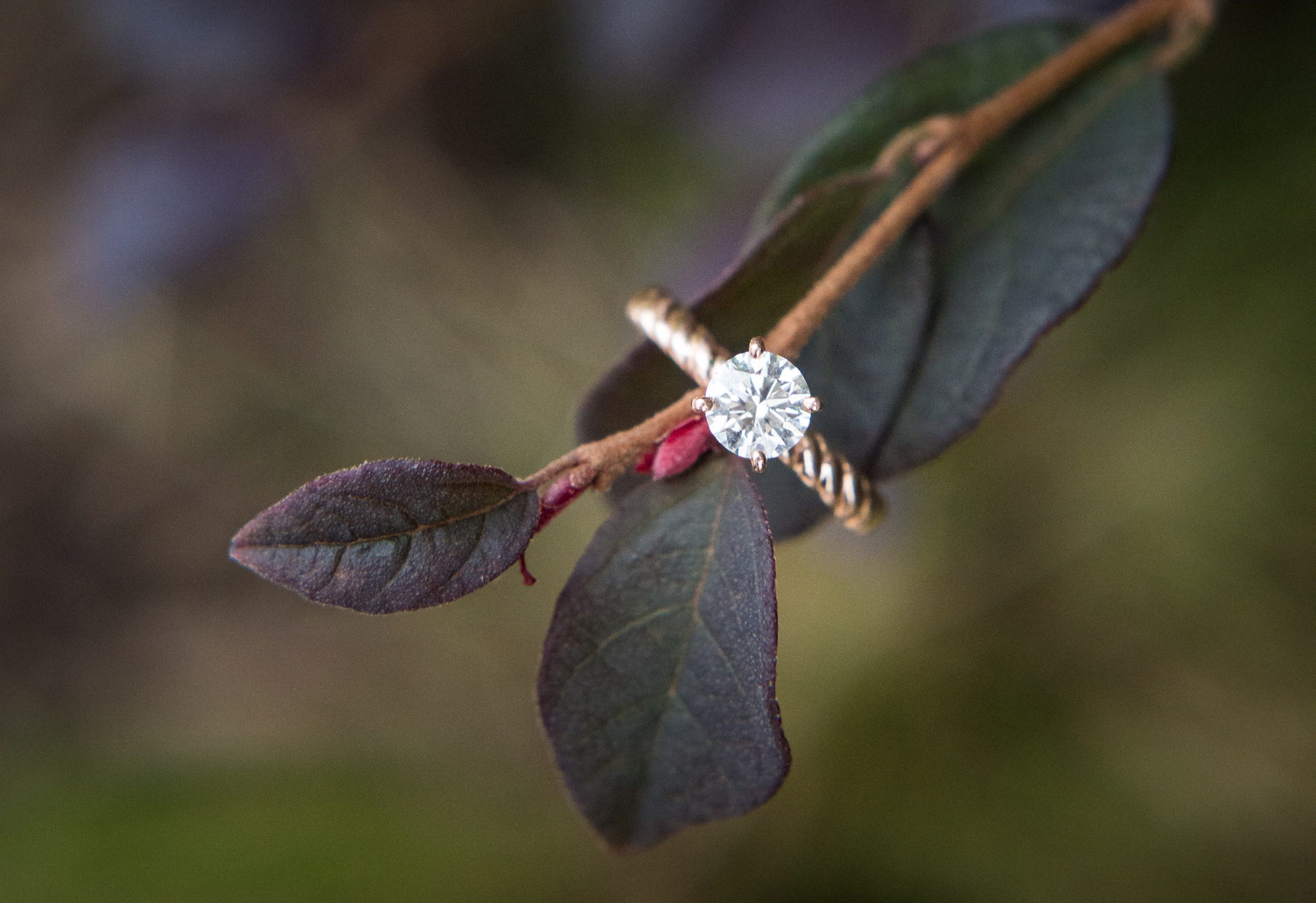 Northern Virginia engagement photography