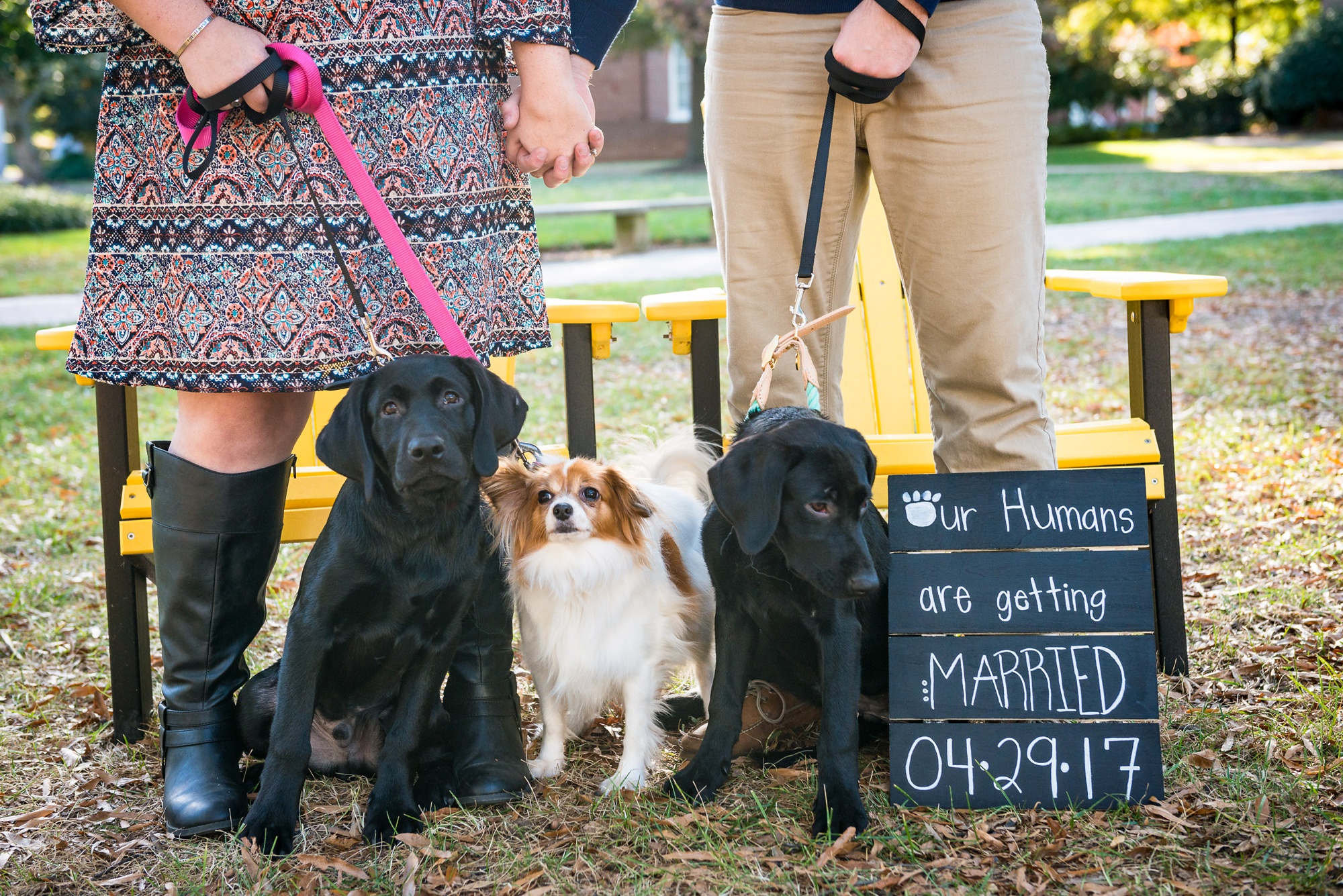 Northern Virginia engagement photography