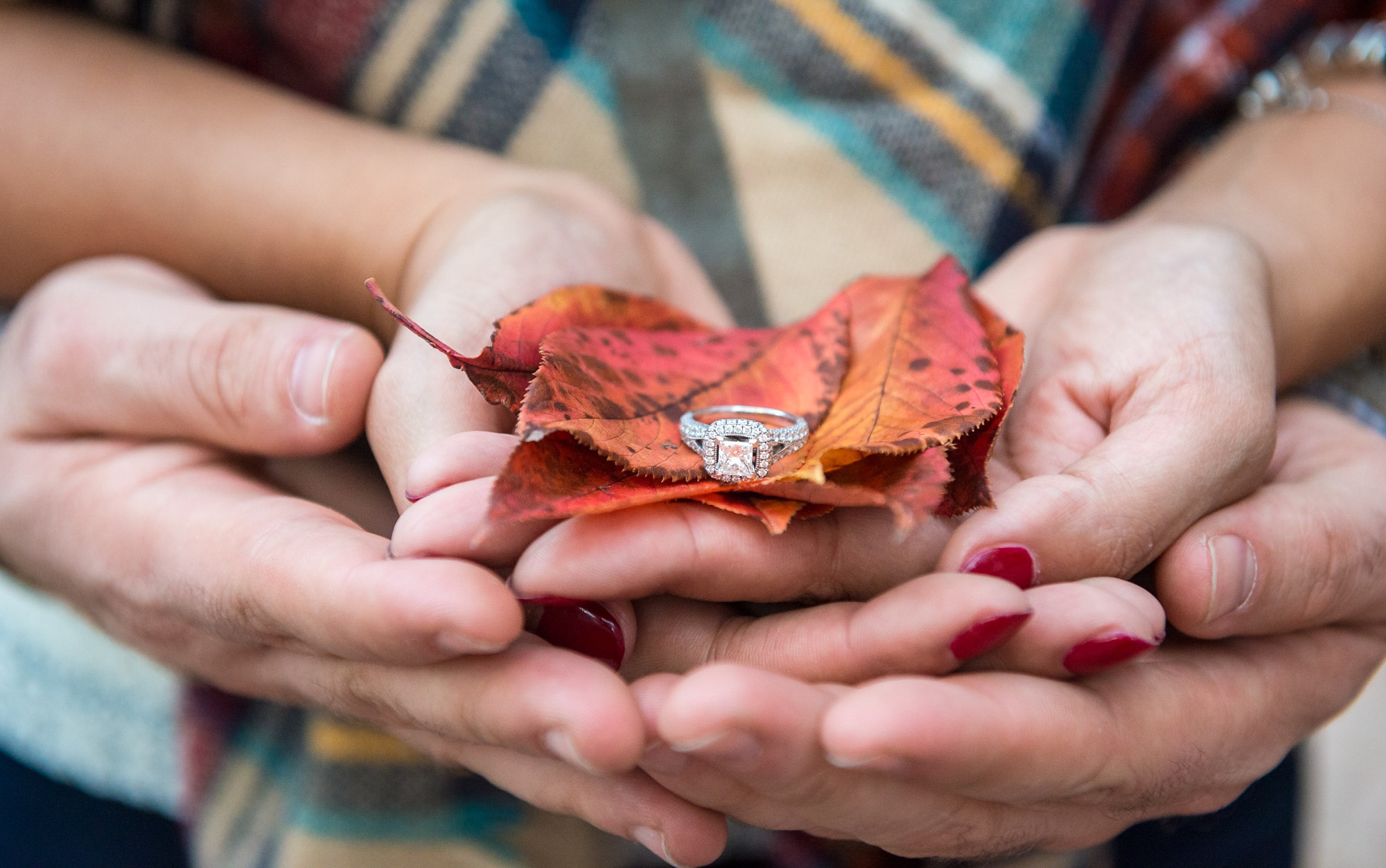Northern Virginia engagement photography