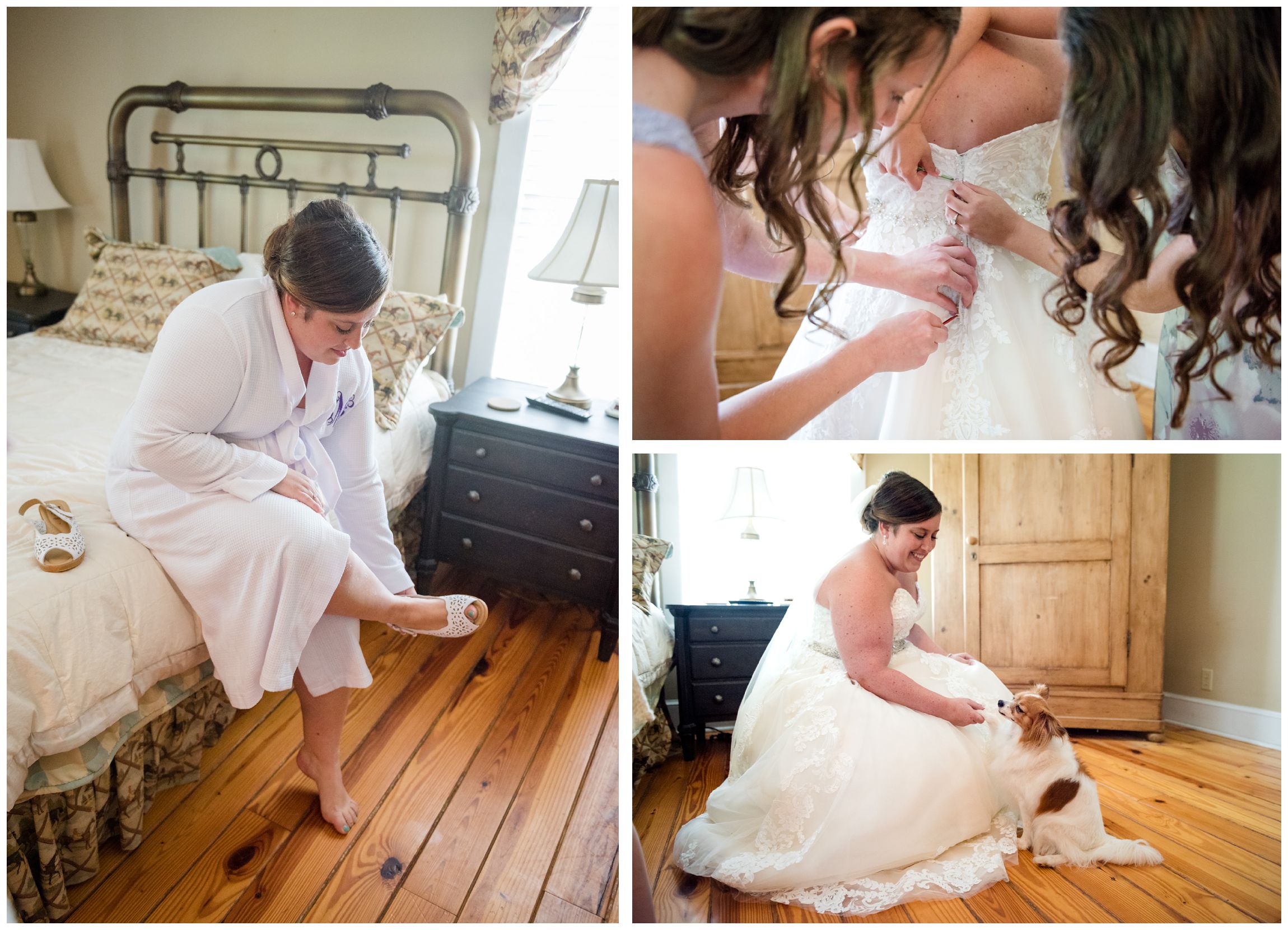 bride getting dressed and greeting dog