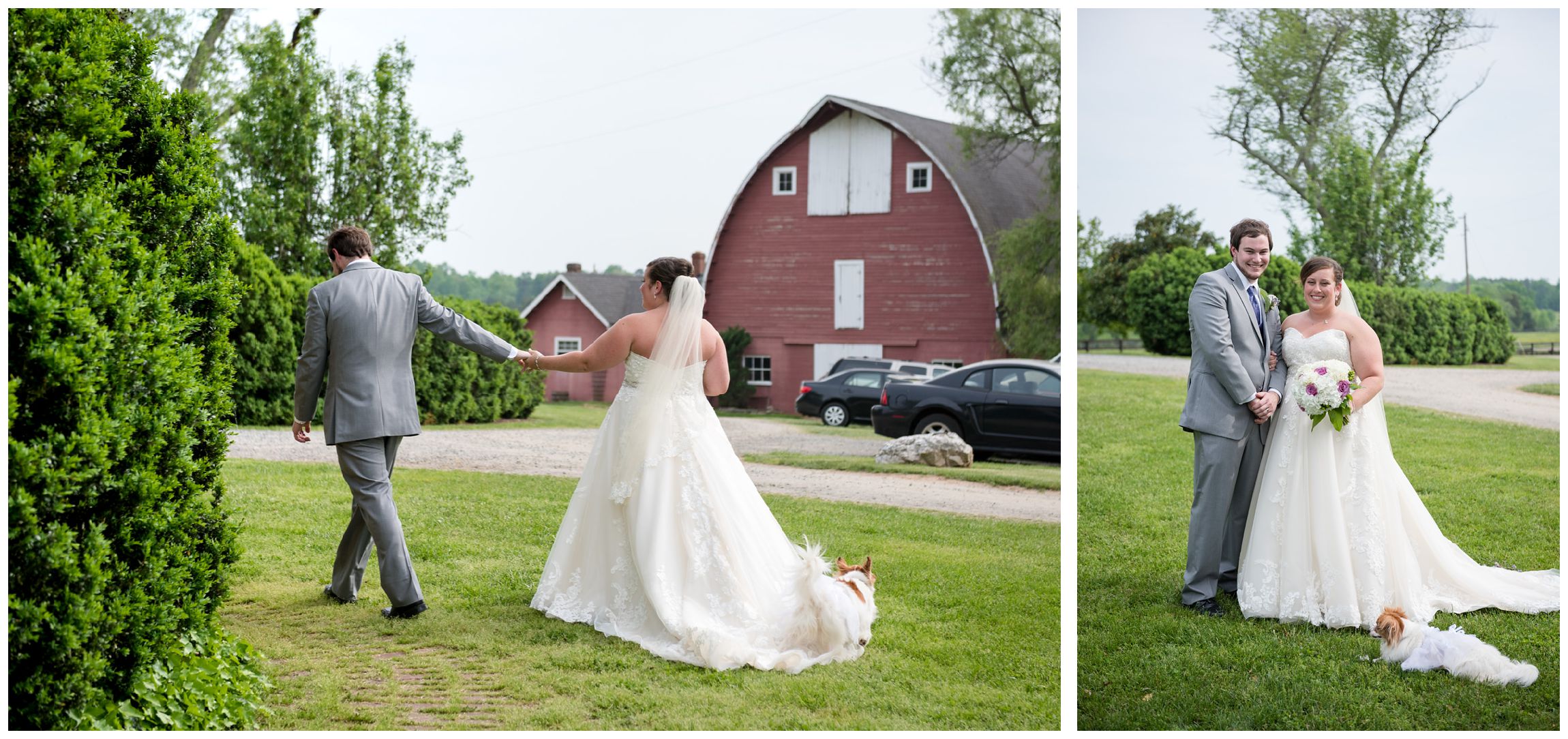 newlyweds after rusting farm wedding in Virginia