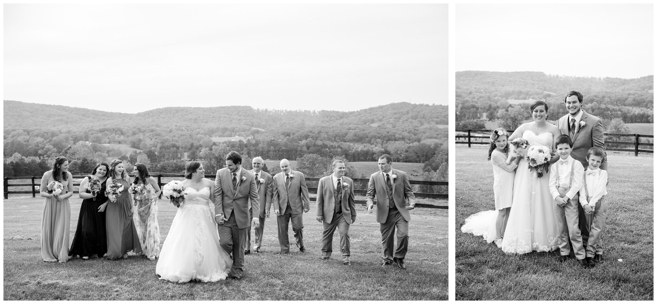 bridal party includes couple's dog at rustic farm wedding