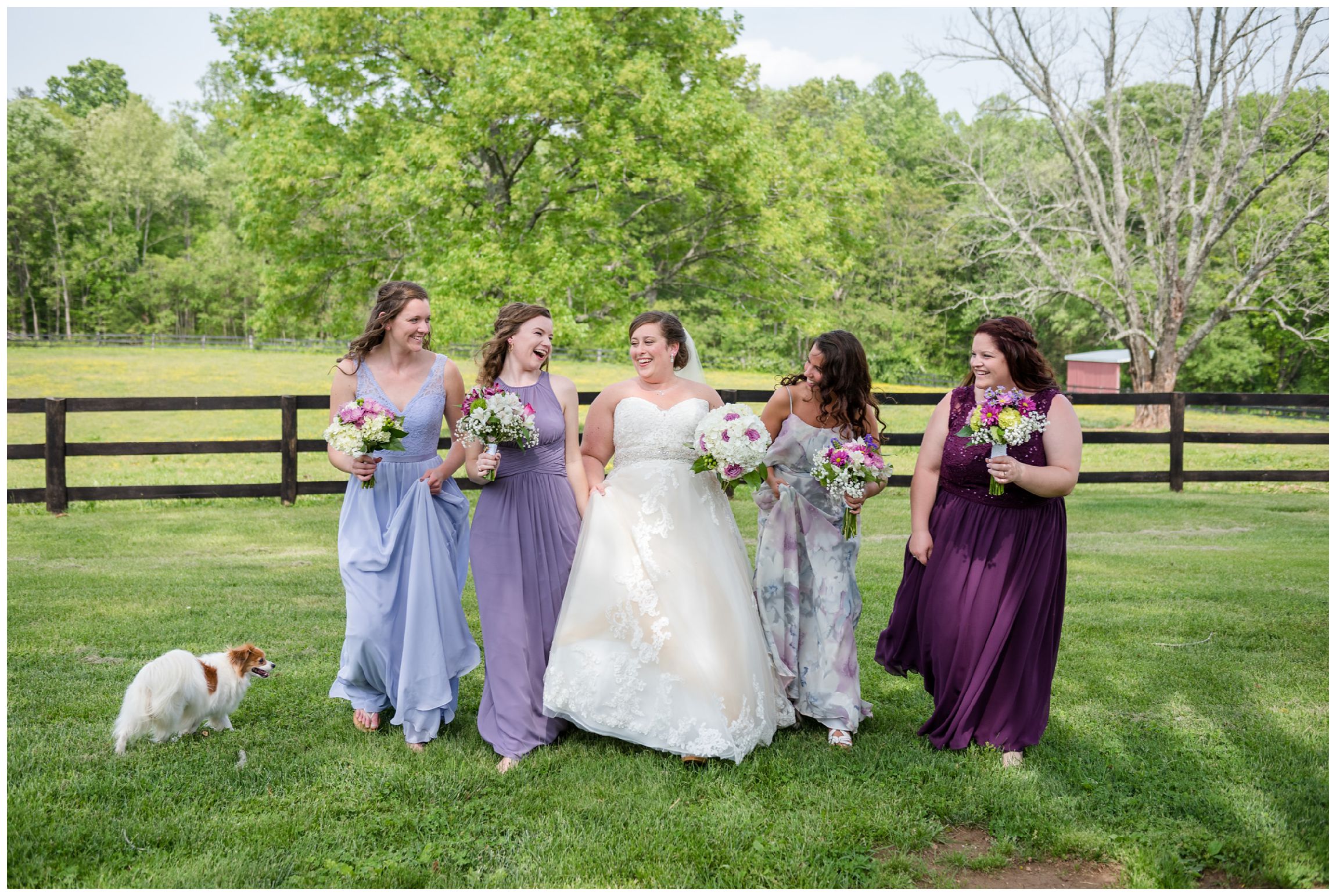 bridesmaids at rustic Wolftrap Farm wedding in Virginia 
