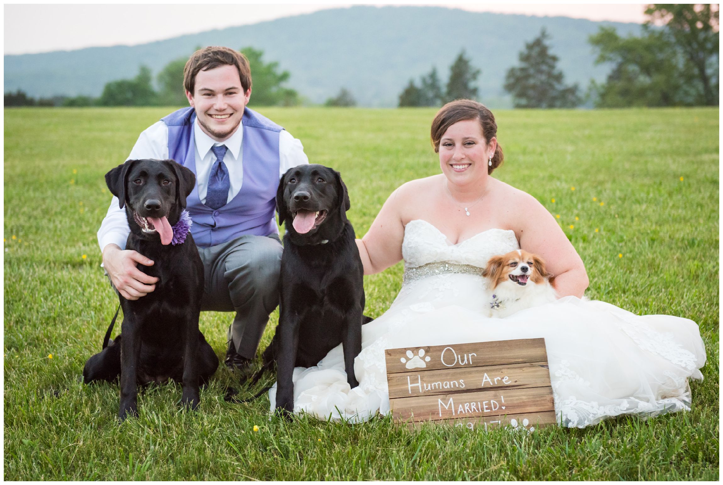 bride and groom with dogs after rustic wedding in the Shenandoah Mountains