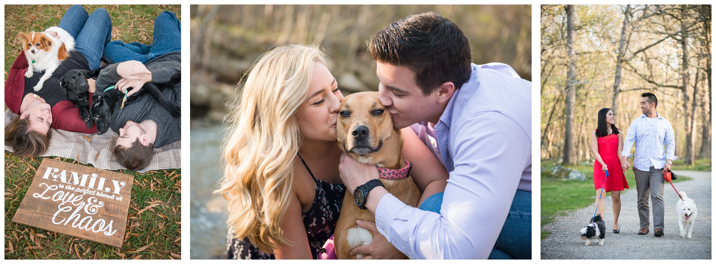 bringing your dog to your engagement session