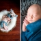 columbus ohio newborn photography