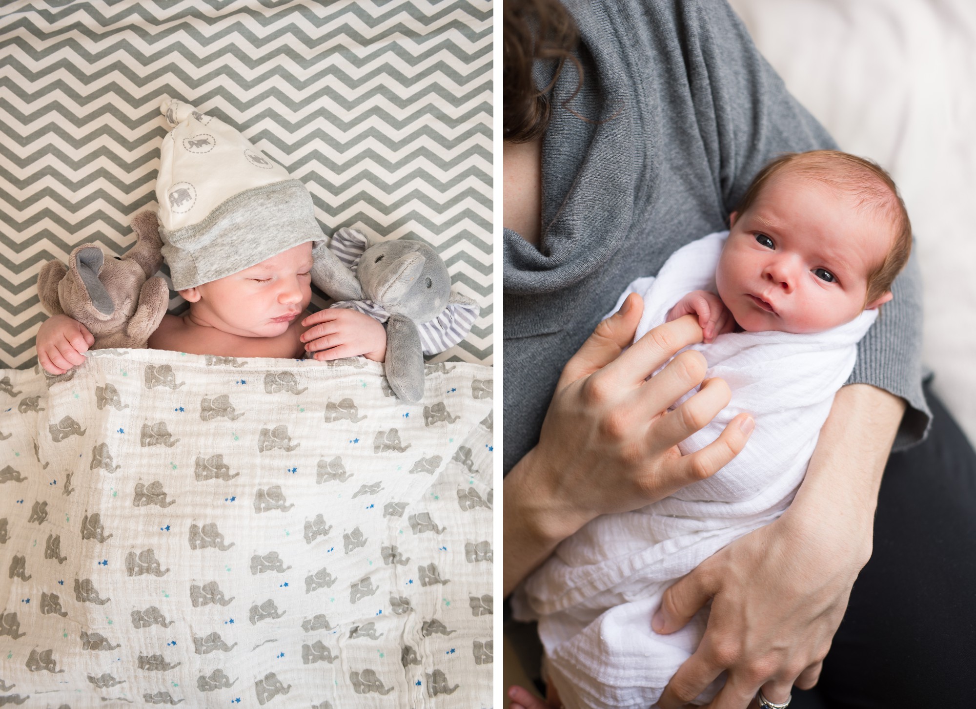 columbus ohio newborn photographer
