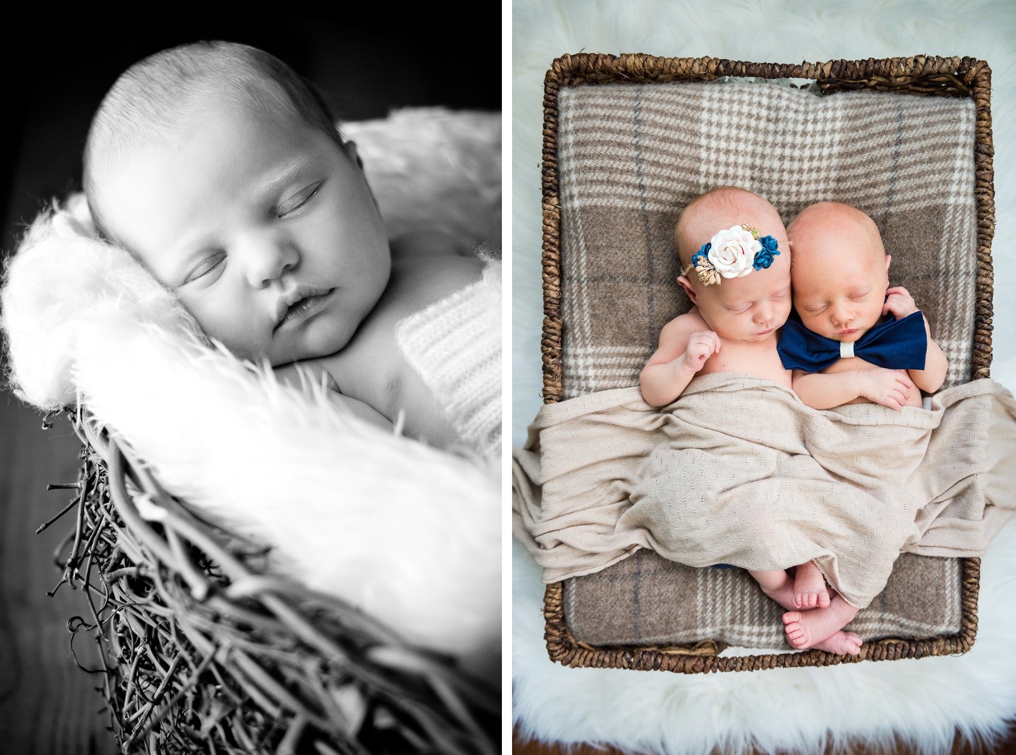 columbus ohio newborn photography