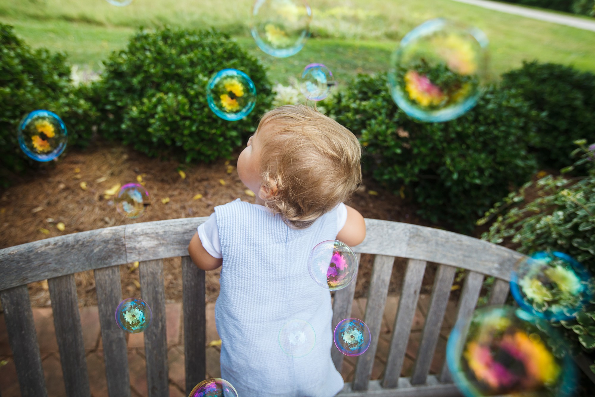 columbus ohio family photography