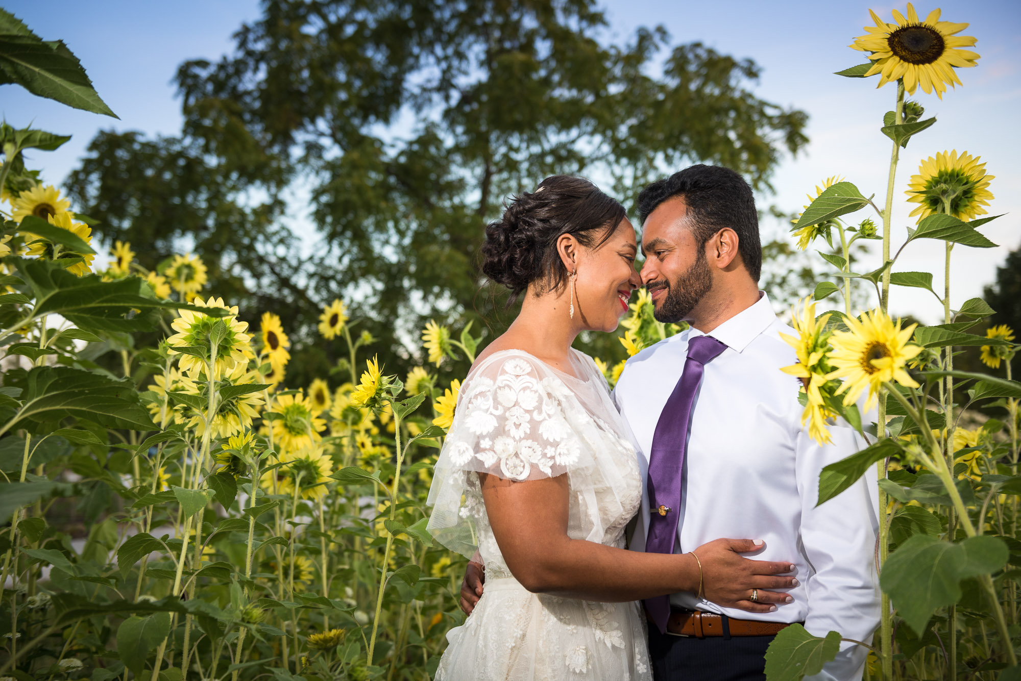 bride and groom with sunflowers at Jorgensen Farms wedding venue in central Ohio