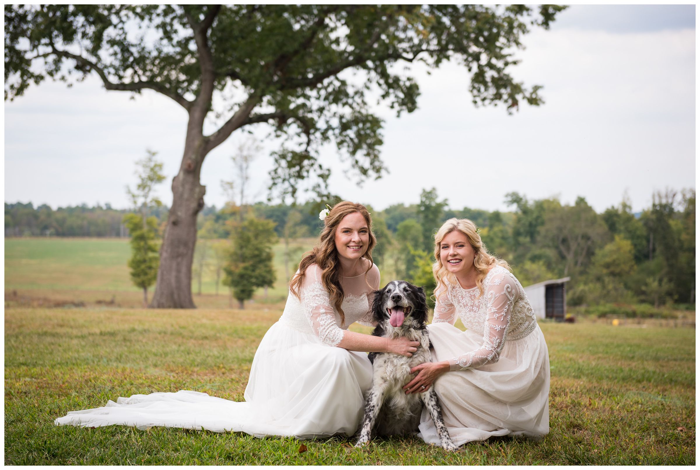 two brides posing with dog during their farm wedding.